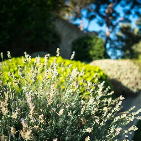 Domaine De Saint Clair Bed & Breakfast Aix-en-Provence