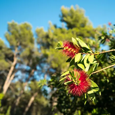 Domaine De Saint Clair 2* Aix-en-Provence